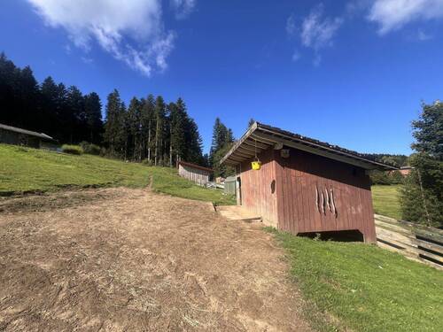 Bild 25 - 