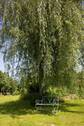 ö Garten - 