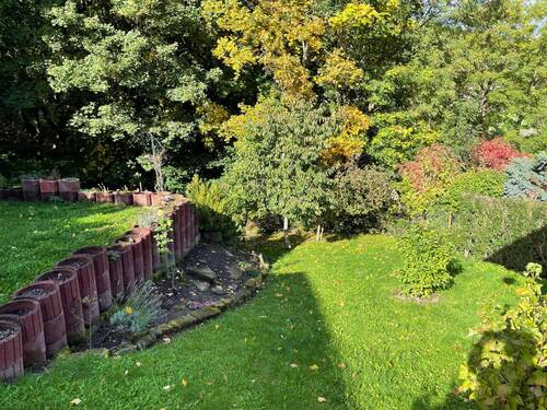 Blick in den Garten - 