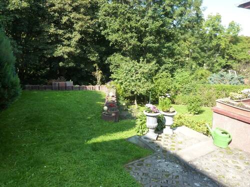 Blick in den Garten - 