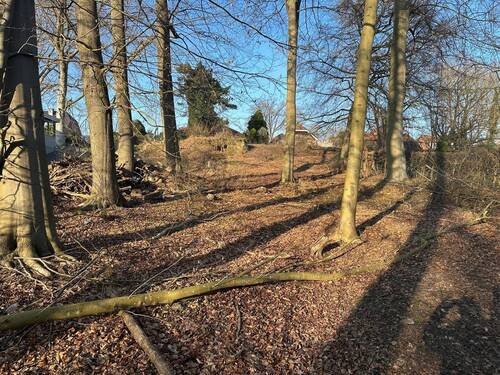 Ansicht - Erfüllen Sie sich Ihren Wohntraum - großes Baugrundstück in der Natur - Büchen