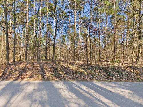 Blick ins Grüne (waldnähe) - 