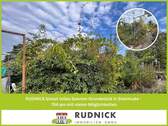 Titel_JA-11561 - RUDNICK bietet tolles Sonnen-Grundstück in Steinhude - 754 qm mit vielen Möglichkeiten