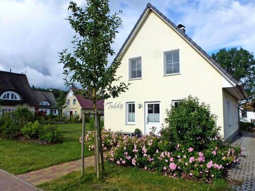 Eingangsbereich - 4 Zimmer Mehrfamilienhaus, Wohnhaus zum Kaufen in Glowe