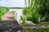 Privater Steg - 3 Zimmer Einfamilienhaus in Am Mellensee