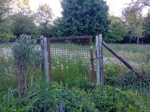 20250510_193327.jpg - Grundstück zum Kaufen in Schorndorf