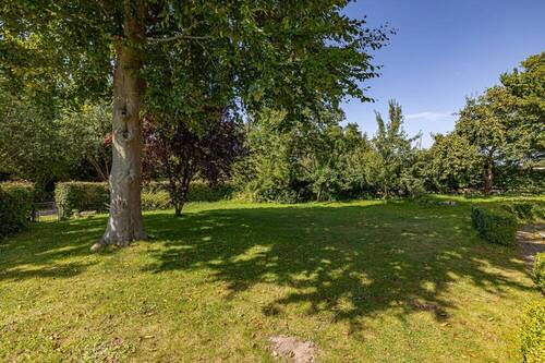 Platz zum Spielen und Toben - 