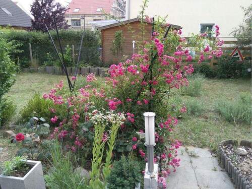 Garten - 