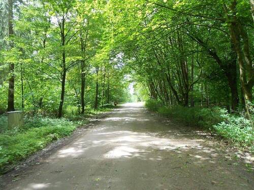 Alter Postweg - 