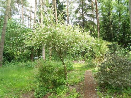 Bild 8 - 