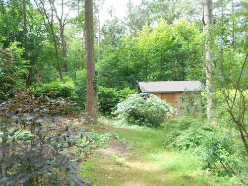 Bild 9 - 