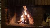 Bild 10 - 
