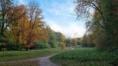 Bild 17 - 