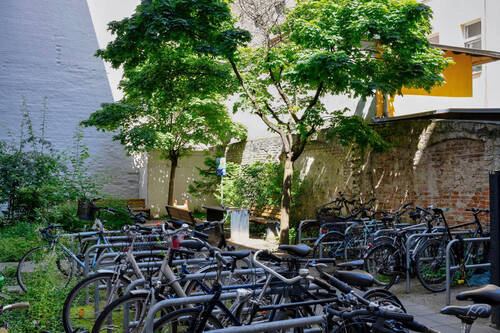 Manteufelstraße 49 - 