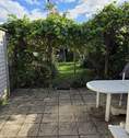 Blick in den Garten - ***Geräumiges Haus in Ruhiglage sucht neuen Eigentümer, KAUFEN statt mieten!!***