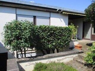 Rückansicht - Einfamilienhaus mit 144,00 m² in Ludwigshafen am Rhein zur Miete