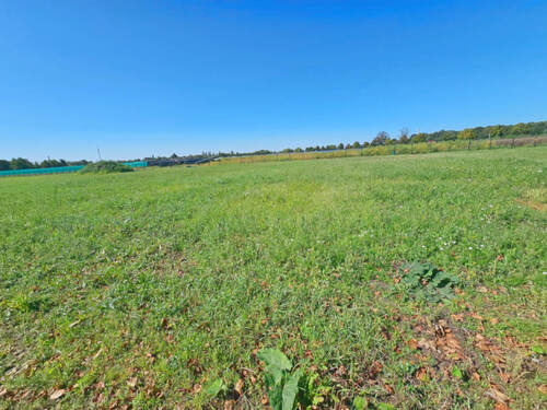 Bild 3 - Grundstück in Küstriner Vorland