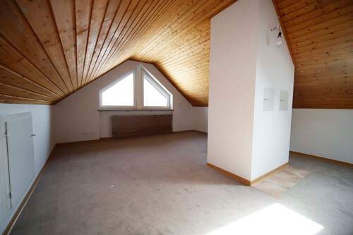 Dachspitz - 