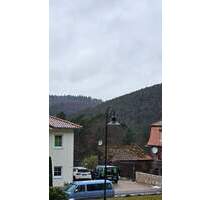 Bauplatz in dem idyllischen Ort Esthal.