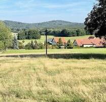 Herrliche Baufläche für 3 EFH in 01920 Steina