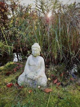 Teich - 