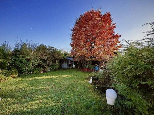 Garten - 