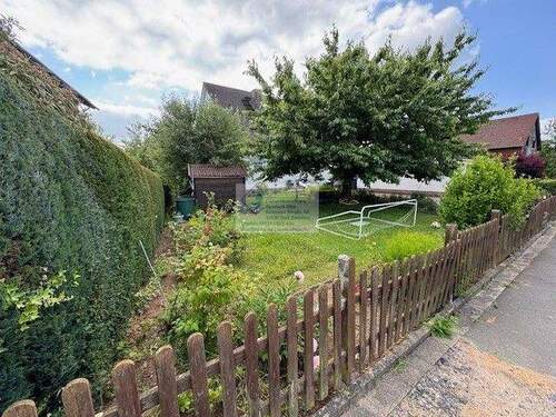 IMG_3285 Garten vorn - 