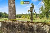 Impressionen - 
