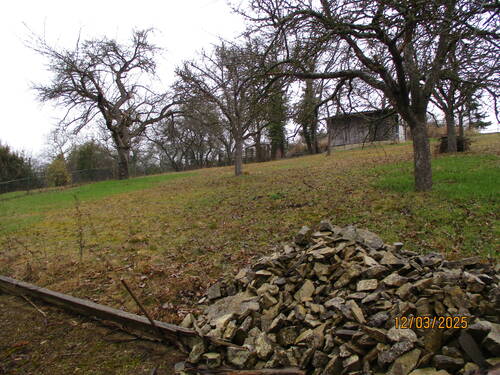 IMG_1094.JPG - 