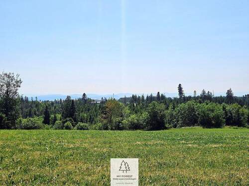 waldverkauf-hoechenschwand_28.jpg - 