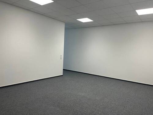 Büro 5 - 