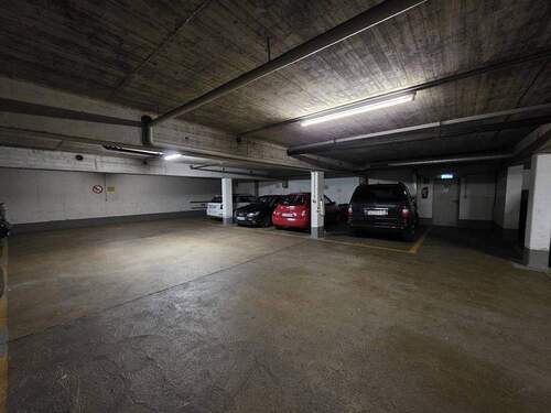 20251210_135047_(1024_x_768).jpg - 