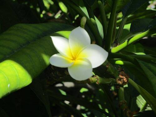 - Beim Wohnen zeigt sich die Güte am Platz - Lao-T - 