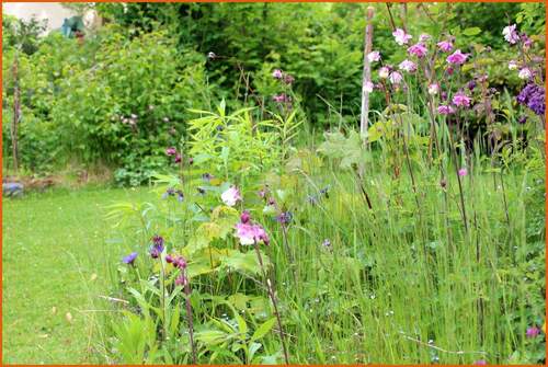 blühender Garten - 