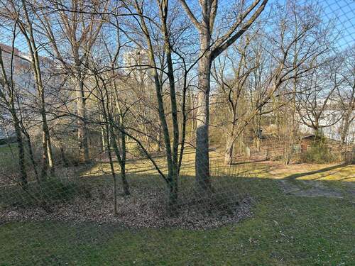 Blick von der Loggia - 