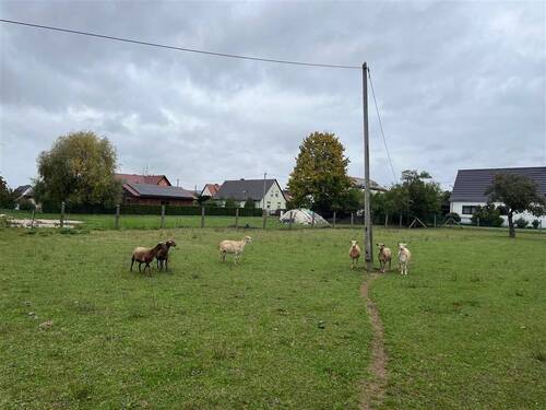 nordöstlicher Blick - 