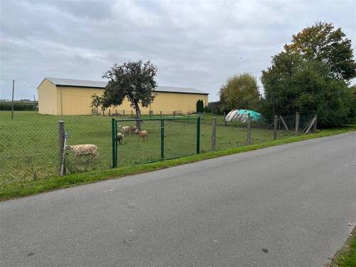 Ansicht von Straße - Grundstück in Nichtewitz zum Kaufen