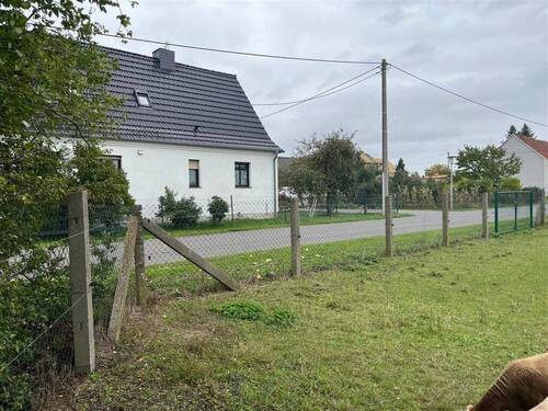 Blick zur Straße (östlich) - 