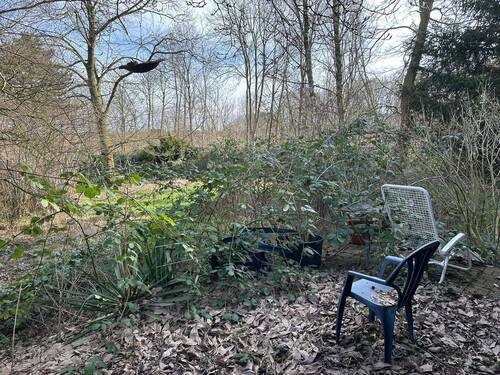 Garten - 5 Zimmer Einfamilienhaus zum Kaufen in Castrop-Rauxel