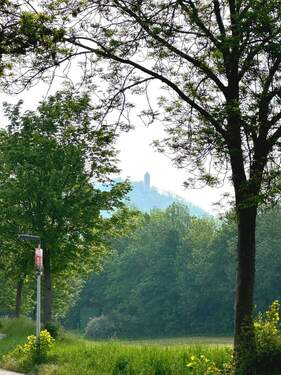 Blick auf die Burgruine - Grundstück zum Kaufen in Bovenden