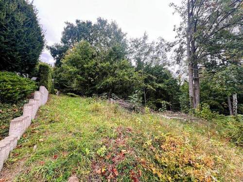 Straßenansicht-6 - Einfamilienhaus in Wolfshagen