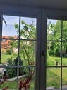 Blick zum Garten - 