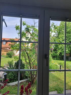Blick zum Garten - 