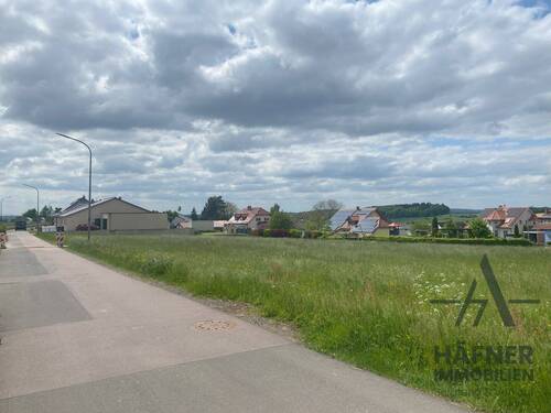 Grundstücke_Gilzem - Grundstück zum Kaufen in Gilzem