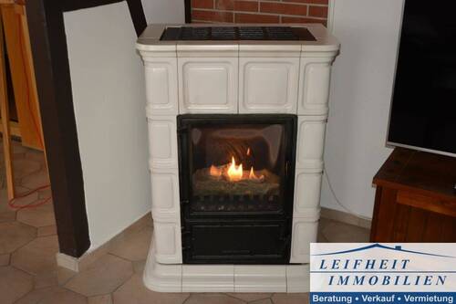 Gaskaminofen - 