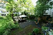Garten hinter dem Haus - 