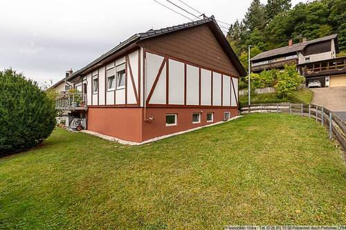 Wiese hinter dem Haus - 