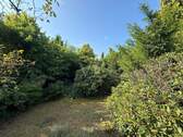 Gartenansicht 2 - 