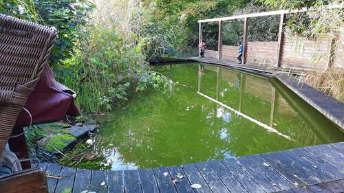 Bild 4 - Einfamilienhaus mit 160,00 m² in Essen zum Kaufen