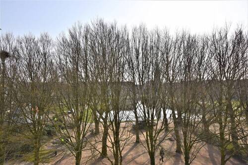 Ausblick aus der Wohnung auf den Holzhafen - 